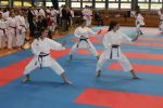 Puchar Polski Karate WKF