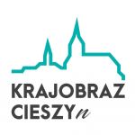 KRAJOBRAZ CIESZYn – Jak widzisz reklamy w Cieszynie? PODSUMOWANIE.