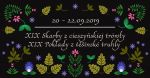 XIX Skarby z cieszyńskiej trówły