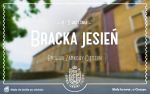 Bracka jesień