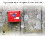 Progi, występy, nisze