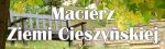 Prezentacja wierszy Elżbiety Holeksy