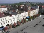 Rynek - szpaler głogów pośrednich odmiana pełnokwiatowa szkarłatna