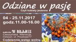 Odziane w pasję czyli kobiety jesienne