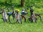 Dzień Paparazziego – historia Wina (wycieczka rowerowa)