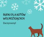 Budujemy budki dla wolno żyjących kotów