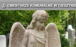 Zdjęcie ze strony głównej serwisu