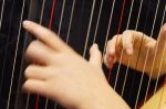 Poznajemy instrumenty muzyczne: "harfa” - koncerty edukacyjne dla dzieci i młodzieży