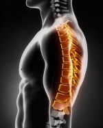 Odcinek piersiowy kręgosłupa
