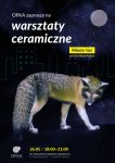 Noc Muzeów na dziecińcu Zamku Cieszyn