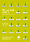 Mini ogródek z OFKĄ