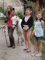 II Towarzyskie Zawody Jeździeckie