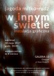 W innym świetle - instalacja graficzna Jagody Mitko Rudź