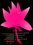 "NAJPIĘKNIEJSZE MAGNOLIE KWITNĄ W CIESZYNIE”