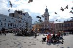 Rynek