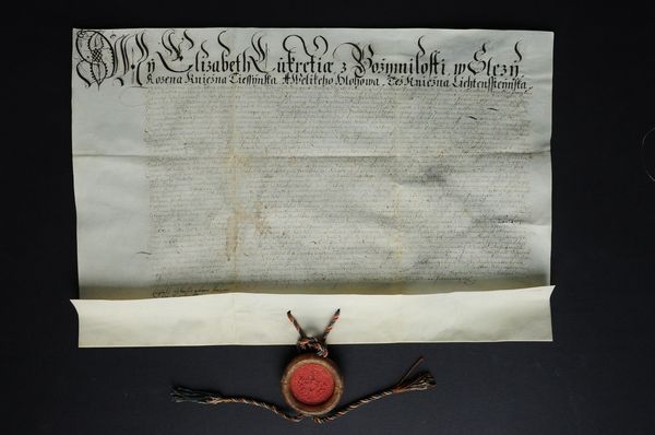 Elżbieta Lukrecja, księżna cieszyńska, potwierdza burmistrzowi, radzie i mieszkańcom Cieszyna dotychczasowe przywileje, otrzymane od poprzednich książąt, 1626