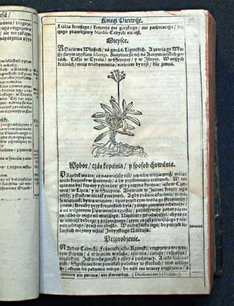Szymon Syreński, Zielnik herbarzem z ięzyka łacińskiego zowią: to iest opisanie własne imion, kształtu… y mocy zioł…, w Krakowie 1613