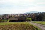 [14] Panorama Beskidu Śląskiego i Sląsko-Morawskiego (Widok ze wzgórza 347 na Pastwiska i Czantorię) fot. S. Kawęcki