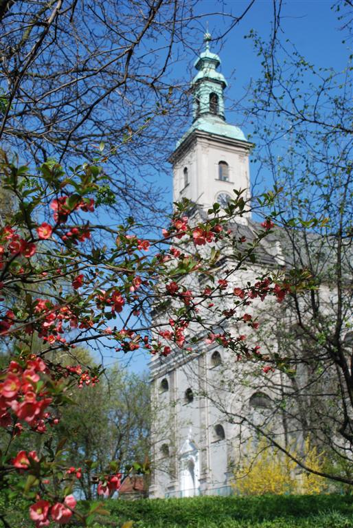 Kościół Jezusowy