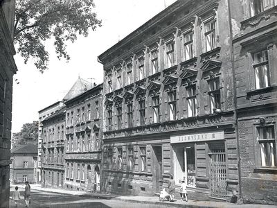 Kliknij aby zobaczyć pełny rozmiar