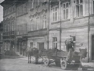 Kliknij aby zobaczyć pełny rozmiar