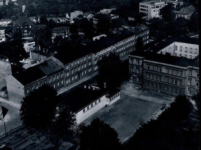 Kliknij aby zobaczyć pełny rozmiar