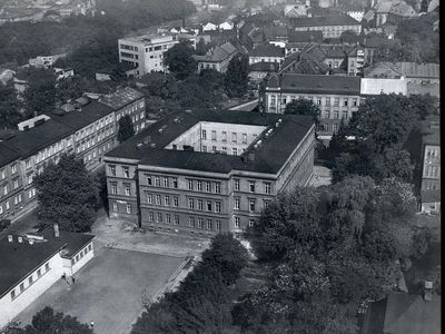 Kliknij aby zobaczyć pełny rozmiar