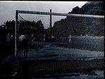 050.jpg