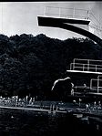 052.jpg