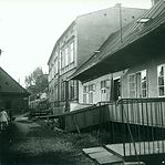 145.jpg
