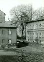 19_rok_81.jpg