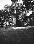 IMG_20150118_0496.jpg