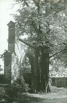 pion_54_Cieszyn_Blogocice_brama_wejsciowa_Palac_Stonawskich_ul_zeromskiego_rok_722C_Kamienica_Patrycjuszowska_Belon_rok_69.jpg